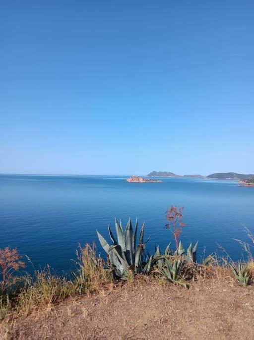 Gli Appartamenti Di Francuzzo Teulada Exterior foto